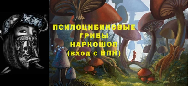 не бодяженный Горнозаводск